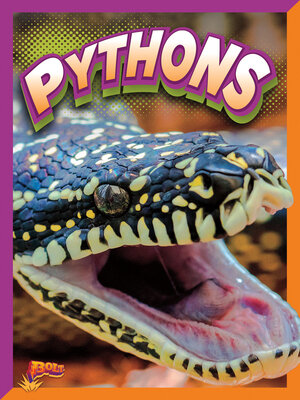 cover image of Pythons